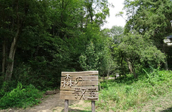 奈良学園中学校