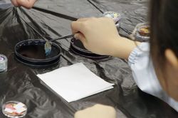 11/9 サイエンスフェスタ開催報告！〈四天王寺・帝塚山学院・武庫川女子大学附属 編〉