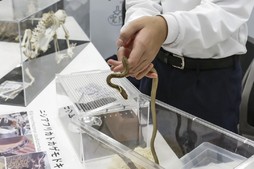 11/9 サイエンスフェスタ開催報告！〈甲南・清風・報徳学園 編〉