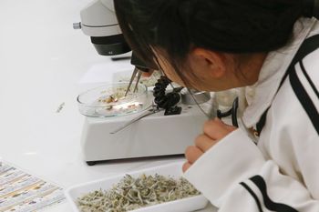 11/9 サイエンスフェスタ開催報告！〈雲雀丘学園・箕面自由学園 編〉