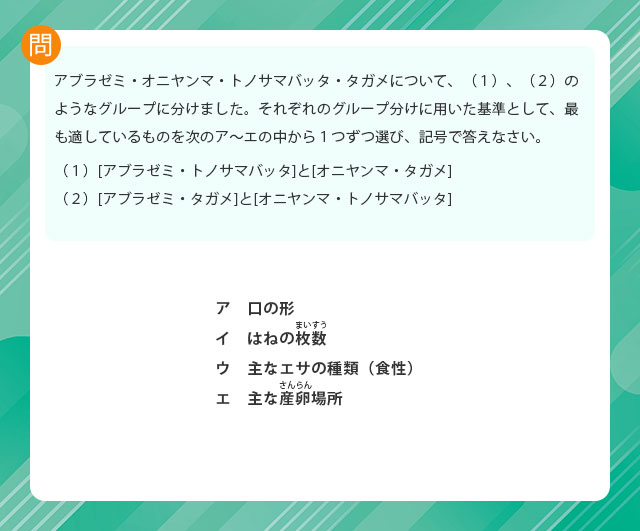 2023年度 清風南海中学校入試問題より｜中学受験応援サイト 『シガクラボ』